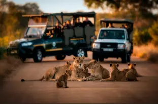 ÁFRICA DO SUL