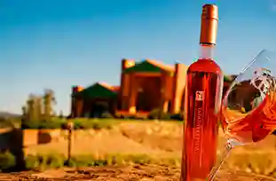 Carnaval com Vinhos de Altitude & Serra Catarinense